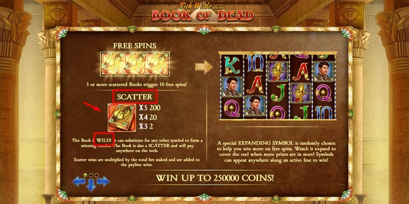 Book of Dead slot wilds and scatter